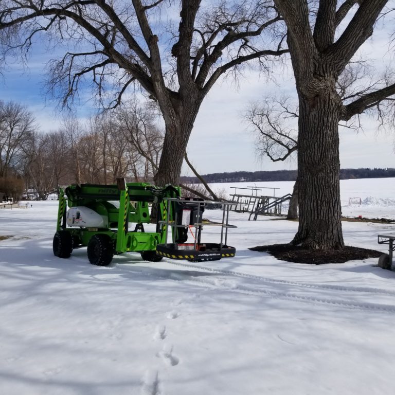 Tree Care Service