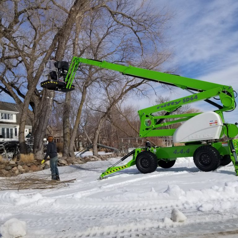 Tree Care Service