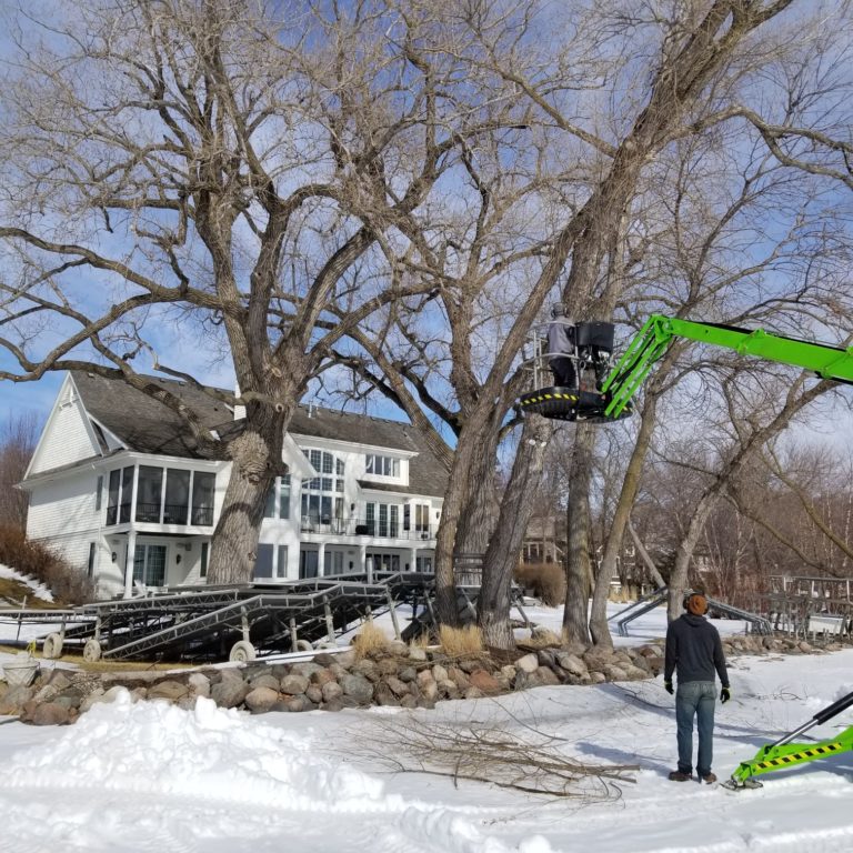 Tree Care Service